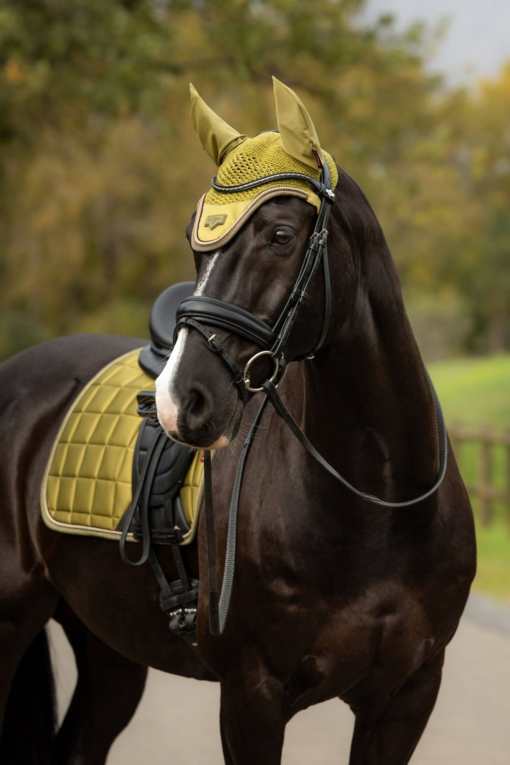 LeMieux Loire Oornetje AW26 Oornetjes - Maddelin Equestrian