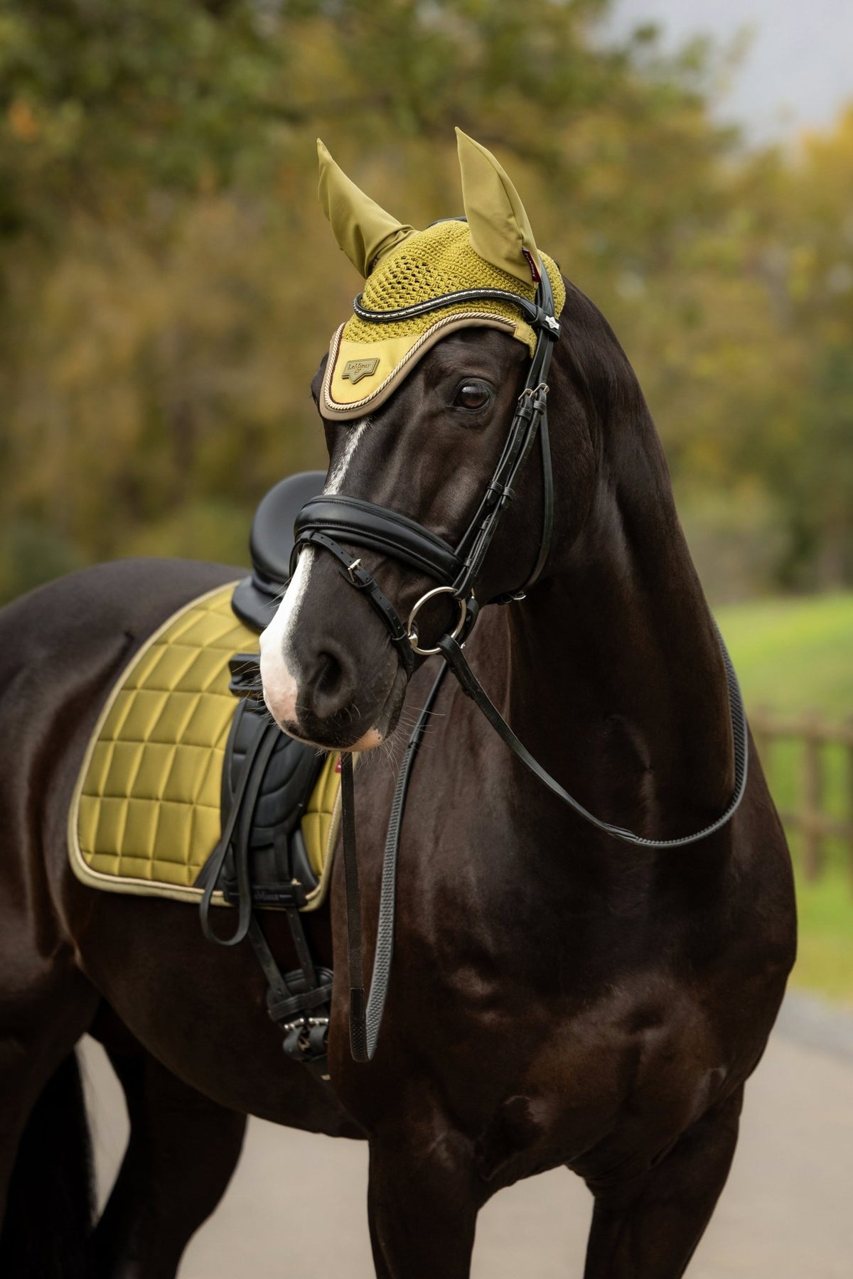 LeMieux Loire Oornetje AW26 Oornetjes - Maddelin Equestrian