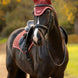 LeMieux Loire Oornetje AW26 Oornetjes - Maddelin Equestrian