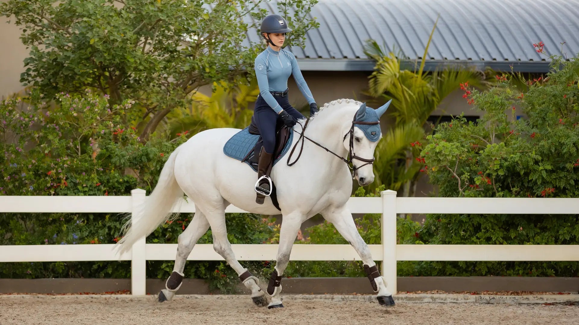 LeMieux Loire Oornetje Oornetjes - Maddelin Equestrian LeMieux