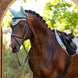 LeMieux Loire Oornetje SS25 Oornetjes - Maddelin Equestrian LeMieux