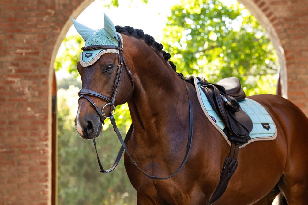 LeMieux Loire Oornetje SS25 Oornetjes - Maddelin Equestrian LeMieux