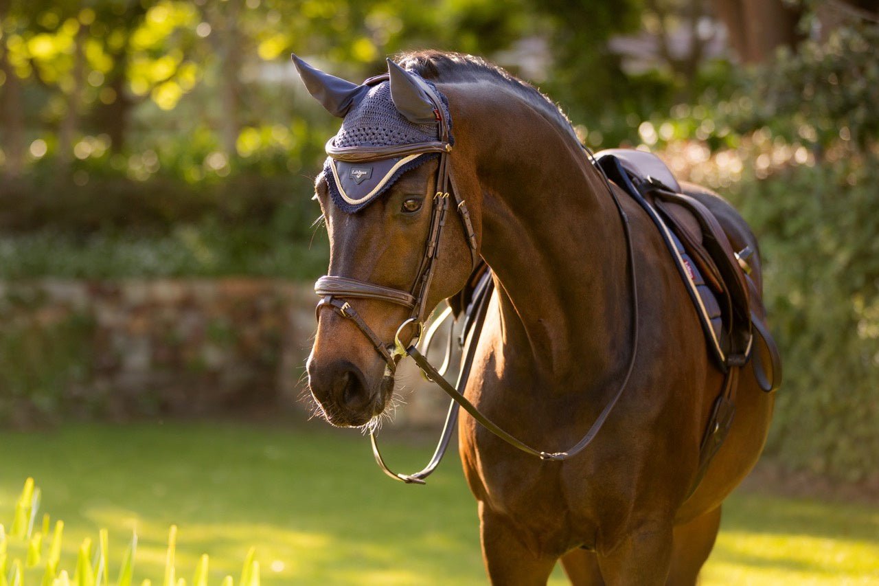 LeMieux Loire Oornetje SS25 Oornetjes - Maddelin Equestrian LeMieux