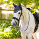 LeMieux Loire Oornetje SS25 Oornetjes - Maddelin Equestrian LeMieux