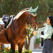 LeMieux Loire Oornetje SS25 Oornetjes - Maddelin Equestrian LeMieux