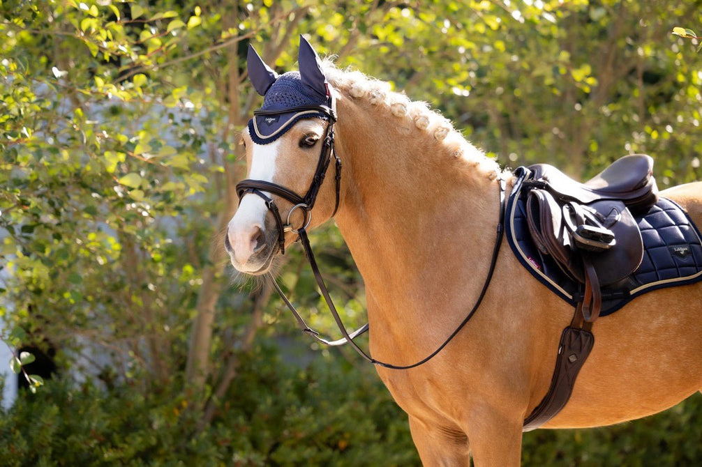 LeMieux Loire Oornetje SS25 Oornetjes - Maddelin Equestrian LeMieux