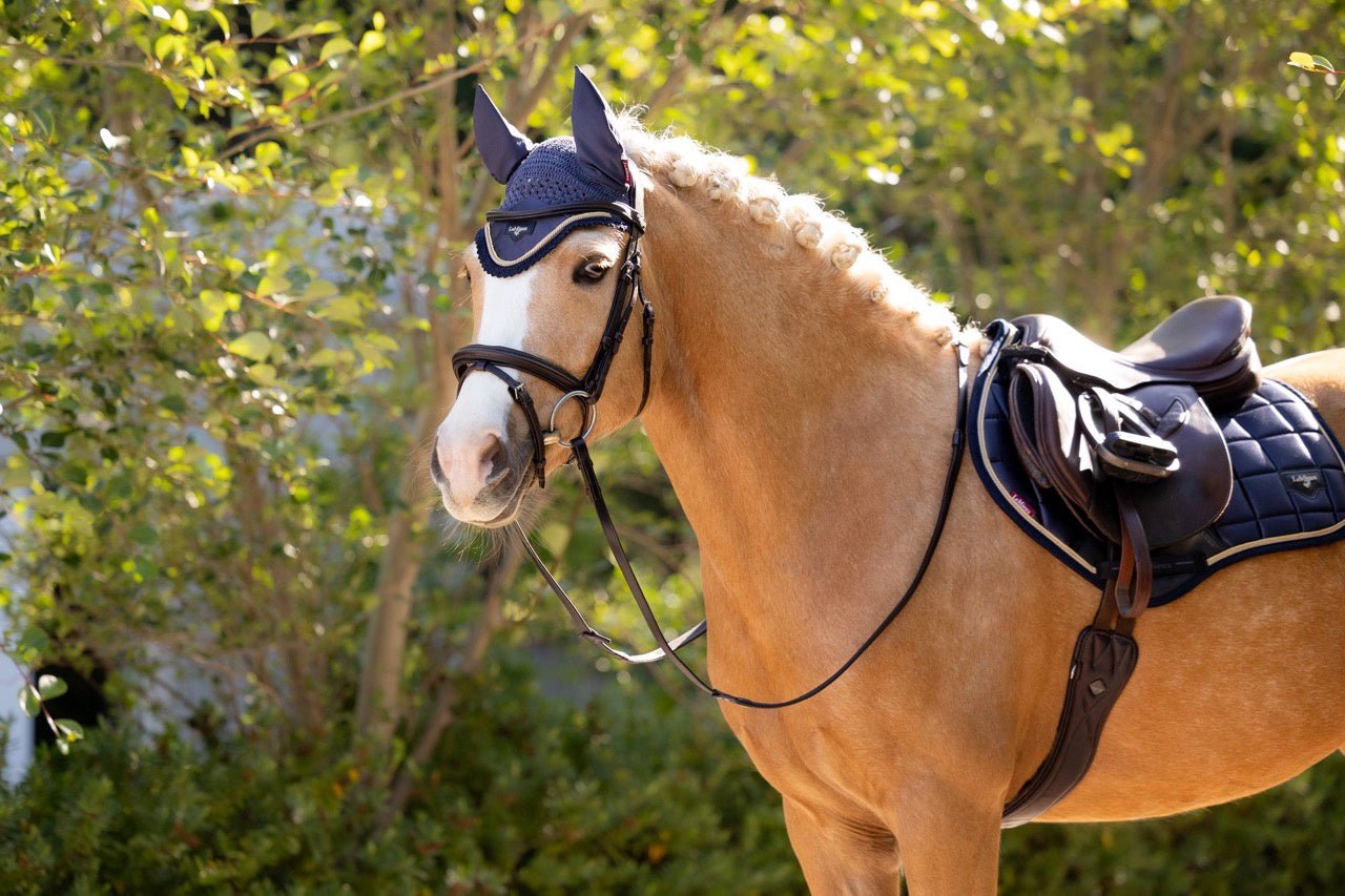 LeMieux Loire Oornetje SS25 Oornetjes - Maddelin Equestrian LeMieux