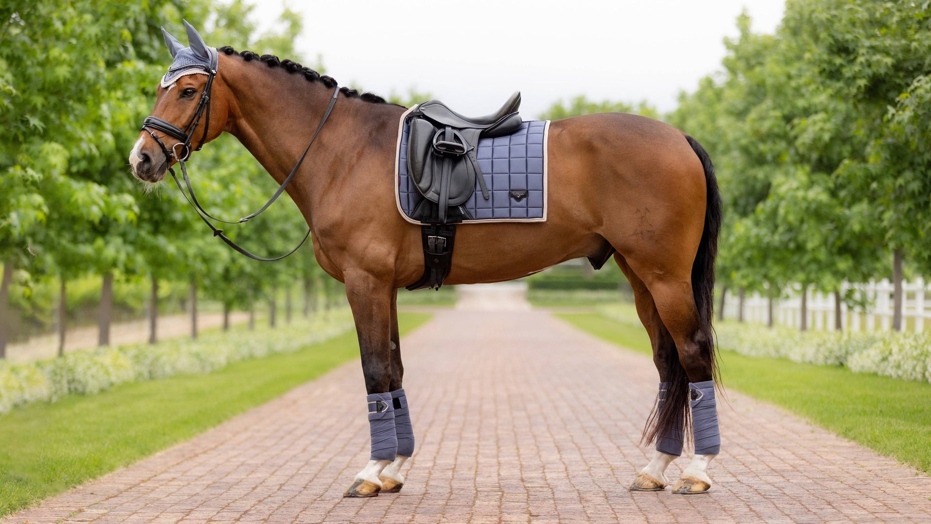 LeMieux Loire Polo Bandages SS24 Bandages - Maddelin Equestrian LeMieux