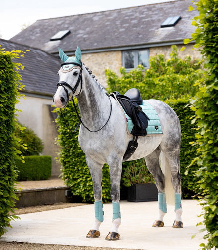 LeMieux Loire Zadeldek Aqua SS25 Zadeldoeken - Maddelin Equestrian LeMieux