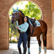 LeMieux Loire Zadeldek Aqua SS25 Zadeldoeken - Maddelin Equestrian LeMieux