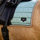 LeMieux Loire Zadeldek Aqua SS25 Zadeldoeken - Maddelin Equestrian LeMieux