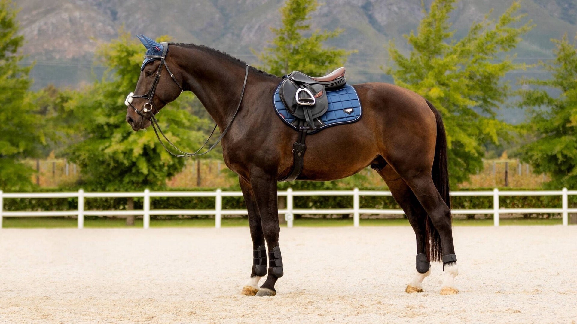 LeMieux Loire Zadeldek Classic Atlantic Zadeldoeken - Maddelin Equestrian LeMieux