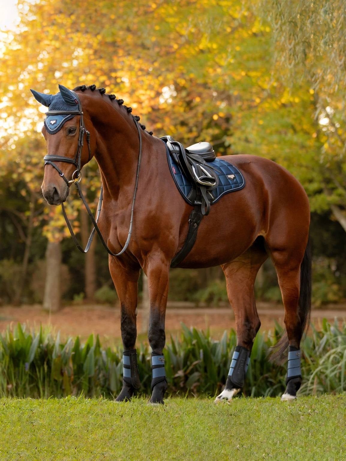 LeMieux Loire Zadeldek Classic Atlantic Zadeldoeken - Maddelin Equestrian LeMieux