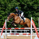 LeMieux Loire Zadeldek Core Zadeldoeken - Maddelin Equestrian LeMieux