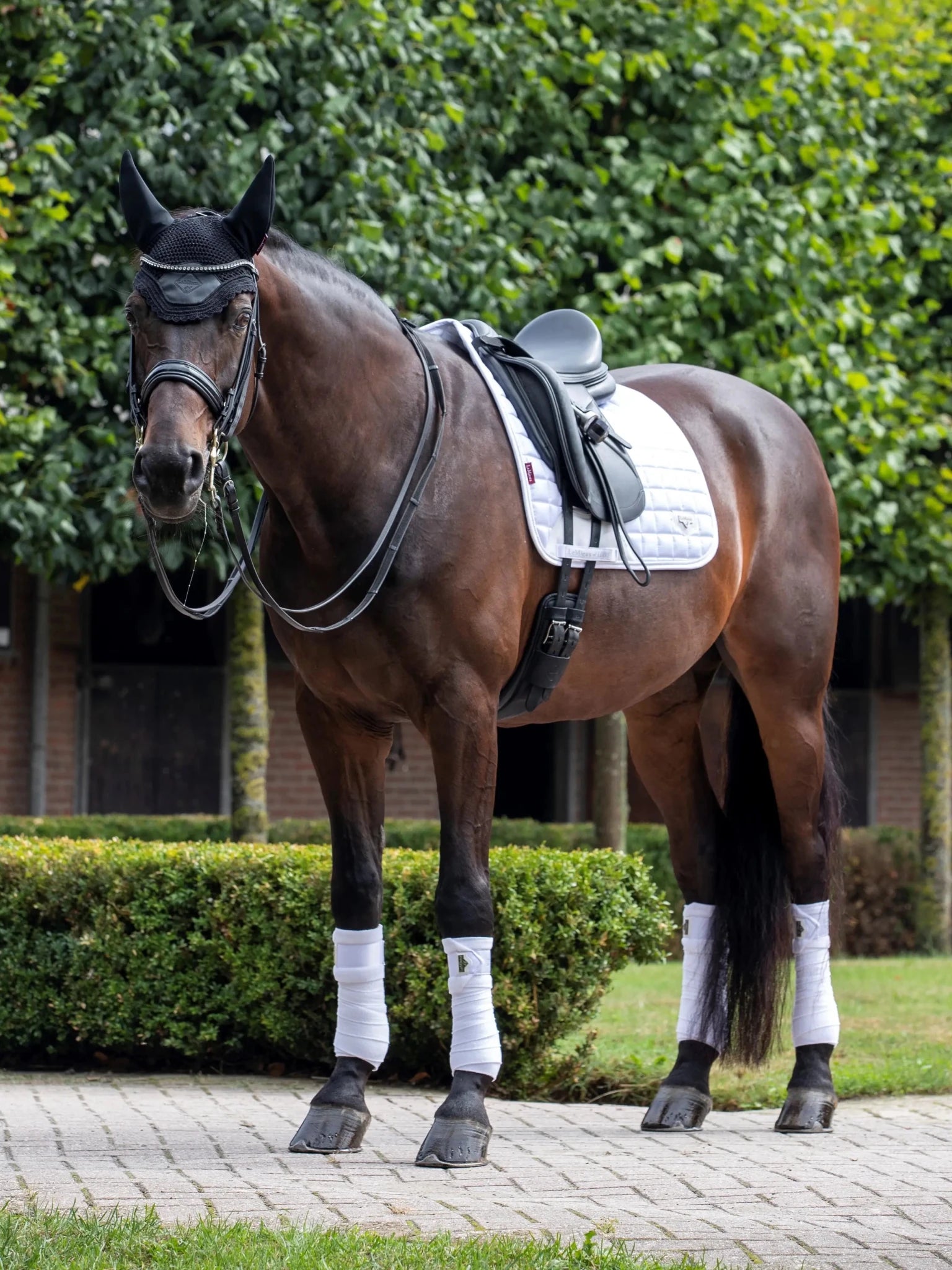 LeMieux Loire Zadeldek Core Zadeldoeken - Maddelin Equestrian LeMieux