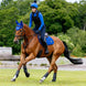 LeMieux Loire Zadeldek Core Zadeldoeken - Maddelin Equestrian LeMieux