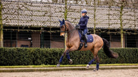 LeMieux Loire Zadeldek Core Zadeldoeken - Maddelin Equestrian LeMieux