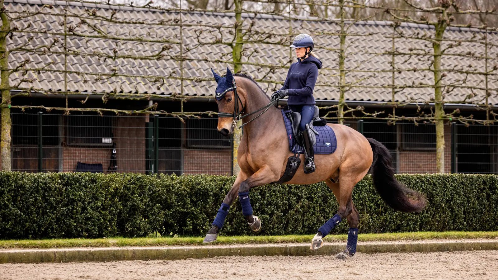 LeMieux Loire Zadeldek Core Zadeldoeken - Maddelin Equestrian LeMieux