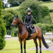 LeMieux Loire Zadeldek Core Zadeldoeken - Maddelin Equestrian LeMieux