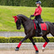 LeMieux Loire Zadeldek Core Zadeldoeken - Maddelin Equestrian LeMieux
