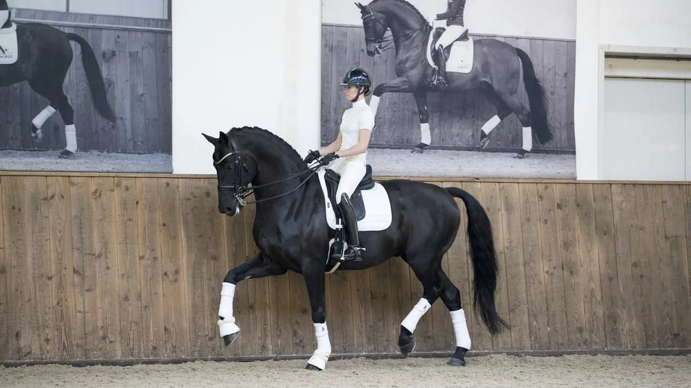 LeMieux Loire Zadeldek Core Zadeldoeken - Maddelin Equestrian LeMieux
