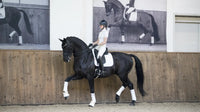 LeMieux Loire Zadeldek Core Zadeldoeken - Maddelin Equestrian LeMieux
