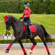LeMieux Loire Zadeldek Core Zadeldoeken - Maddelin Equestrian LeMieux