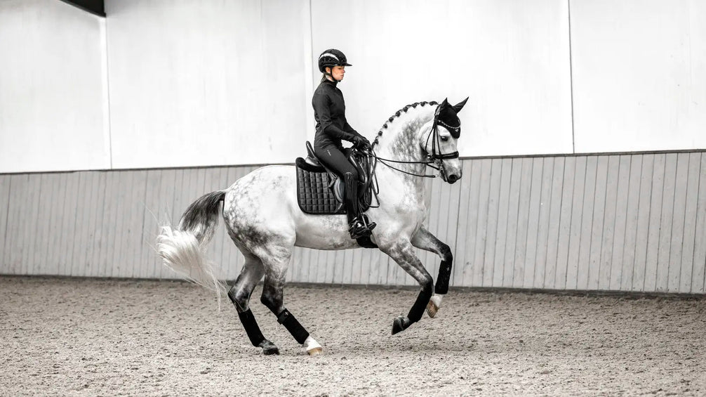 LeMieux Loire Zadeldek Core Zadeldoeken - Maddelin Equestrian LeMieux