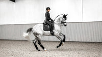 LeMieux Loire Zadeldek Core Zadeldoeken - Maddelin Equestrian LeMieux