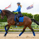 LeMieux Loire Zadeldek Core Zadeldoeken - Maddelin Equestrian LeMieux