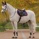 Lemieux Loire Zadeldek Navy/Cranberry Zadeldoeken - Maddelin Equestrian LeMieux
