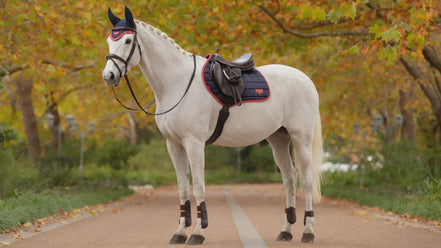 Lemieux Loire Zadeldek Navy/Cranberry Zadeldoeken - Maddelin Equestrian LeMieux