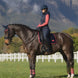 Lemieux Loire Zadeldek Navy/Cranberry Zadeldoeken - Maddelin Equestrian LeMieux