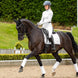 LeMieux Loire Zadeldek White Zadeldoeken - Maddelin Equestrian LeMieux