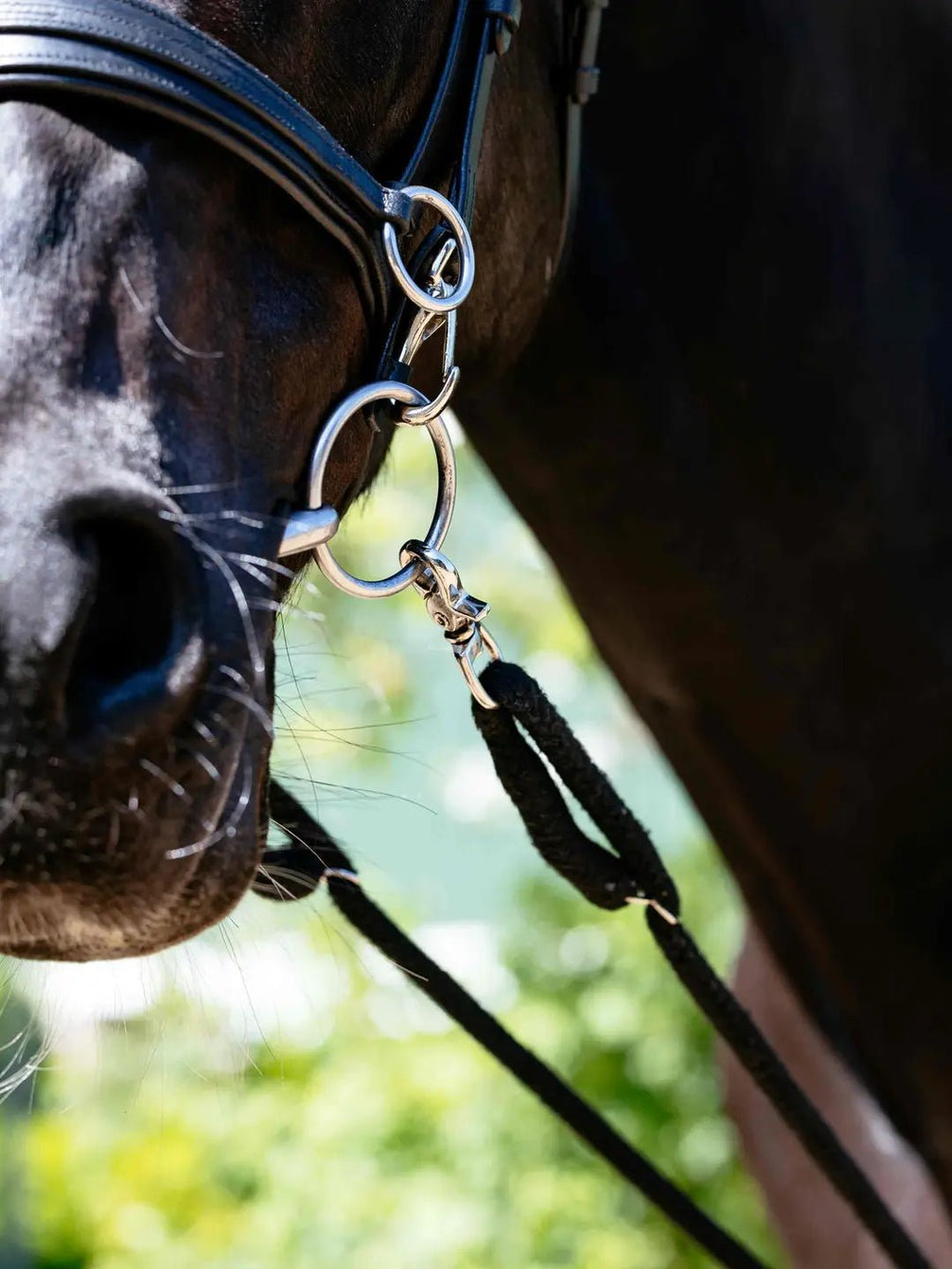 LeMieux Longeerhulp – detailfoto 3