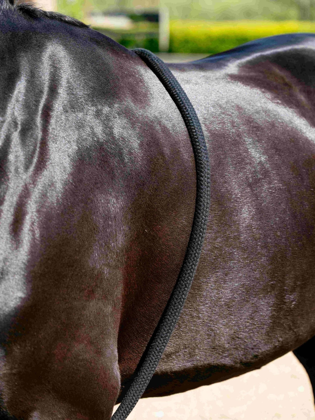 LeMieux Longeerhulp – detailfoto 4