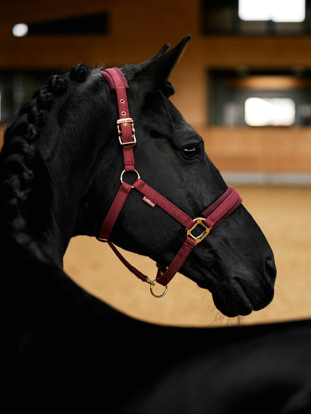 LeMieux Lustre Halster Nylon halsters - Maddelin Equestrian