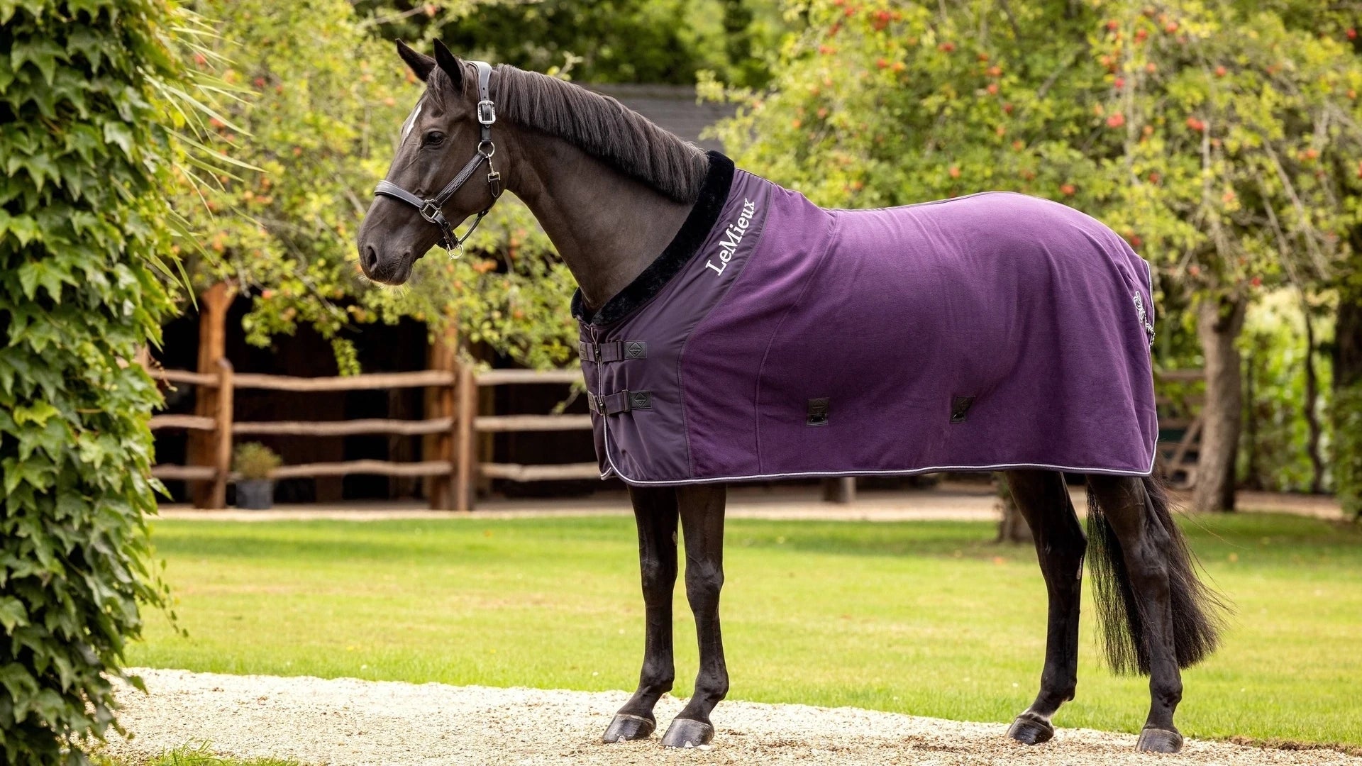 LeMieux Luxe Fleece Paardendeken Fig Zweetdekens - Maddelin Equestrian LeMieux