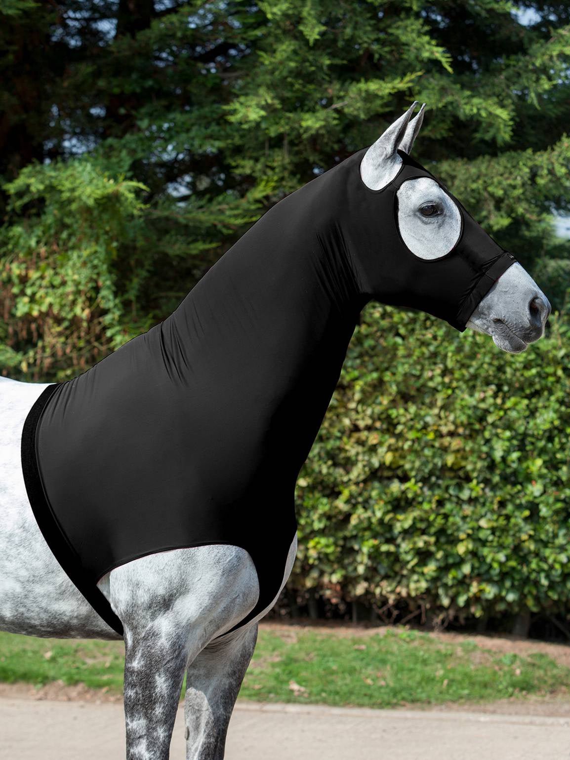 LeMieux Lycra Nekstuk Toebehoren - Maddelin Equestrian LeMieux