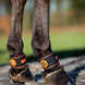LeMieux Magno Pastern Wrap Kootholtebeschermer Transport, therapeutisch en stalbeschermers - Maddelin Equestrian
