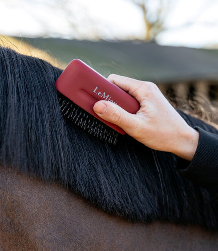 Lemieux Manenkam Borstels & toebehoren - Maddelin Equestrian LeMieux