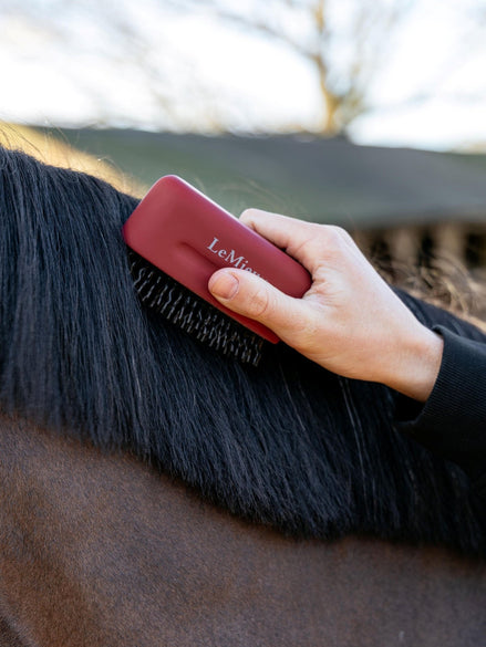 Lemieux Manenkam Borstels & toebehoren - Maddelin Equestrian LeMieux