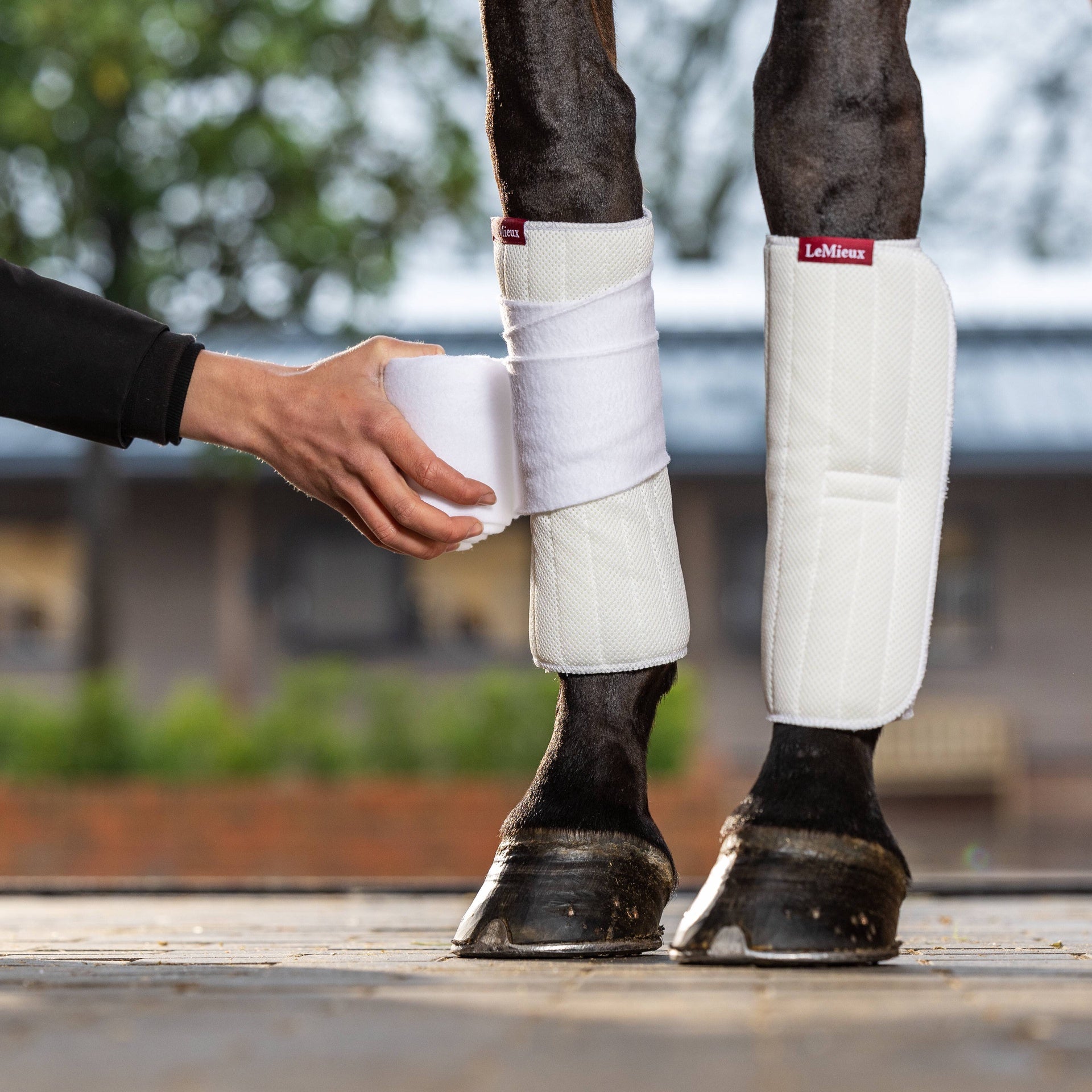 LeMieux Memory Foam Onderbandages (Pair) Bandages - Maddelin Equestrian LeMieux