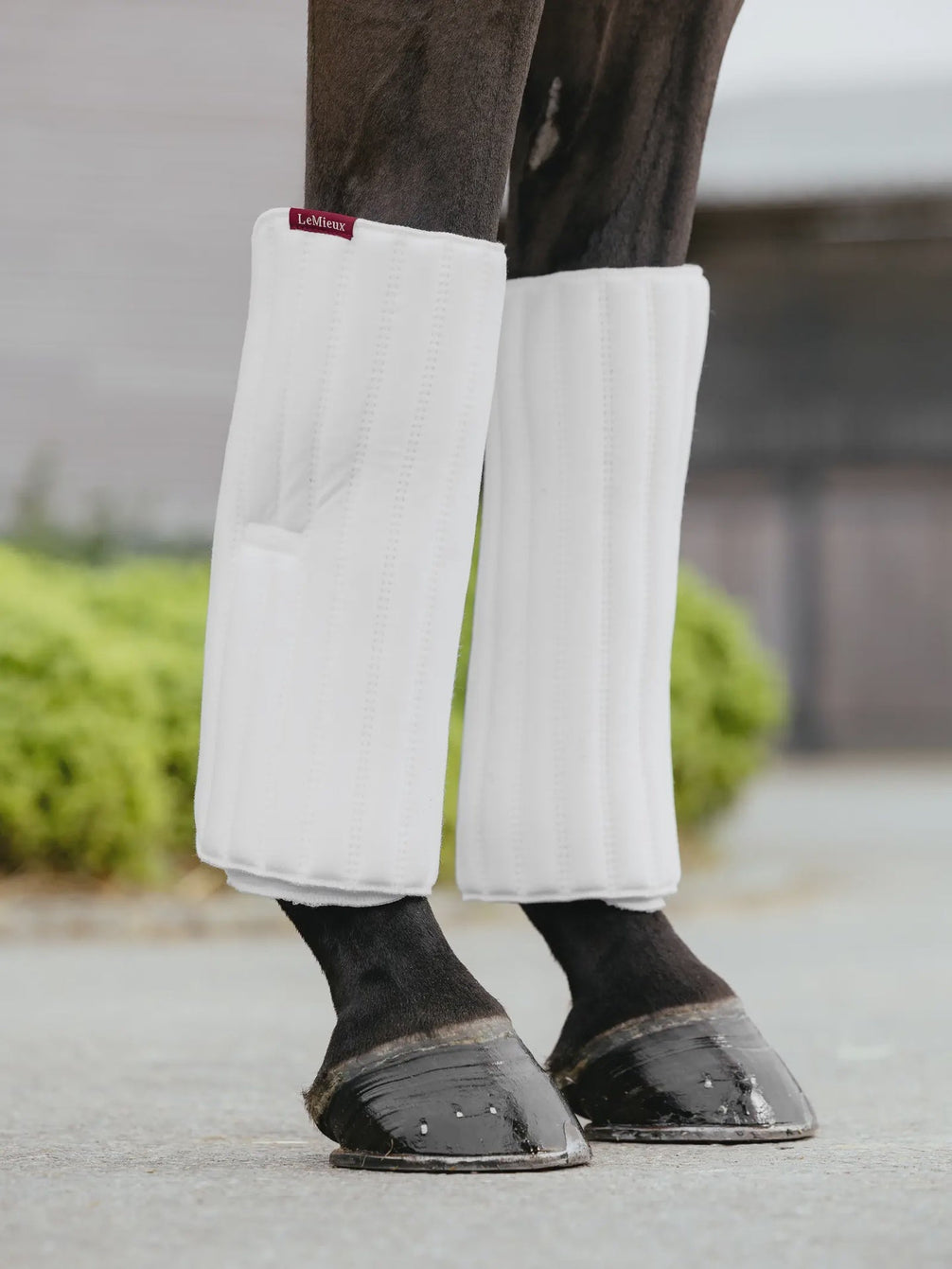 LeMieux Memory Onderbandage Pads Bandages - Maddelin Equestrian LeMieux