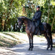 Lemieux Mens Softshell Jas Heren & Unisex - Maddelin Equestrian LeMieux