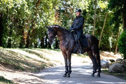 Lemieux Mens Softshell Jas Heren & Unisex - Maddelin Equestrian LeMieux