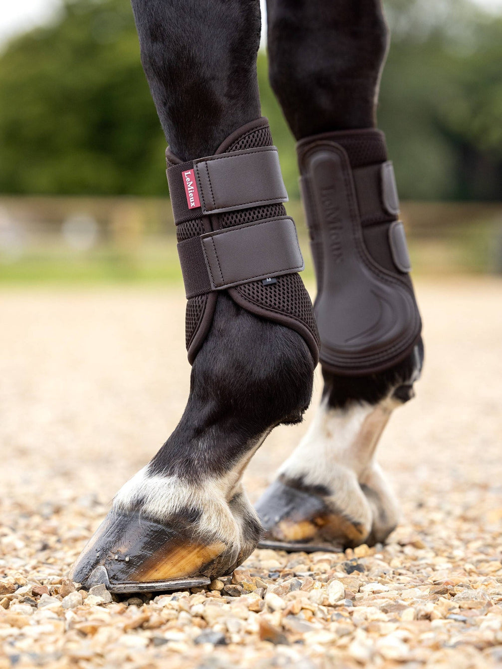 LeMieux Mesh Peesbeschermers Beenbeschermers - Maddelin Equestrian LeMieux