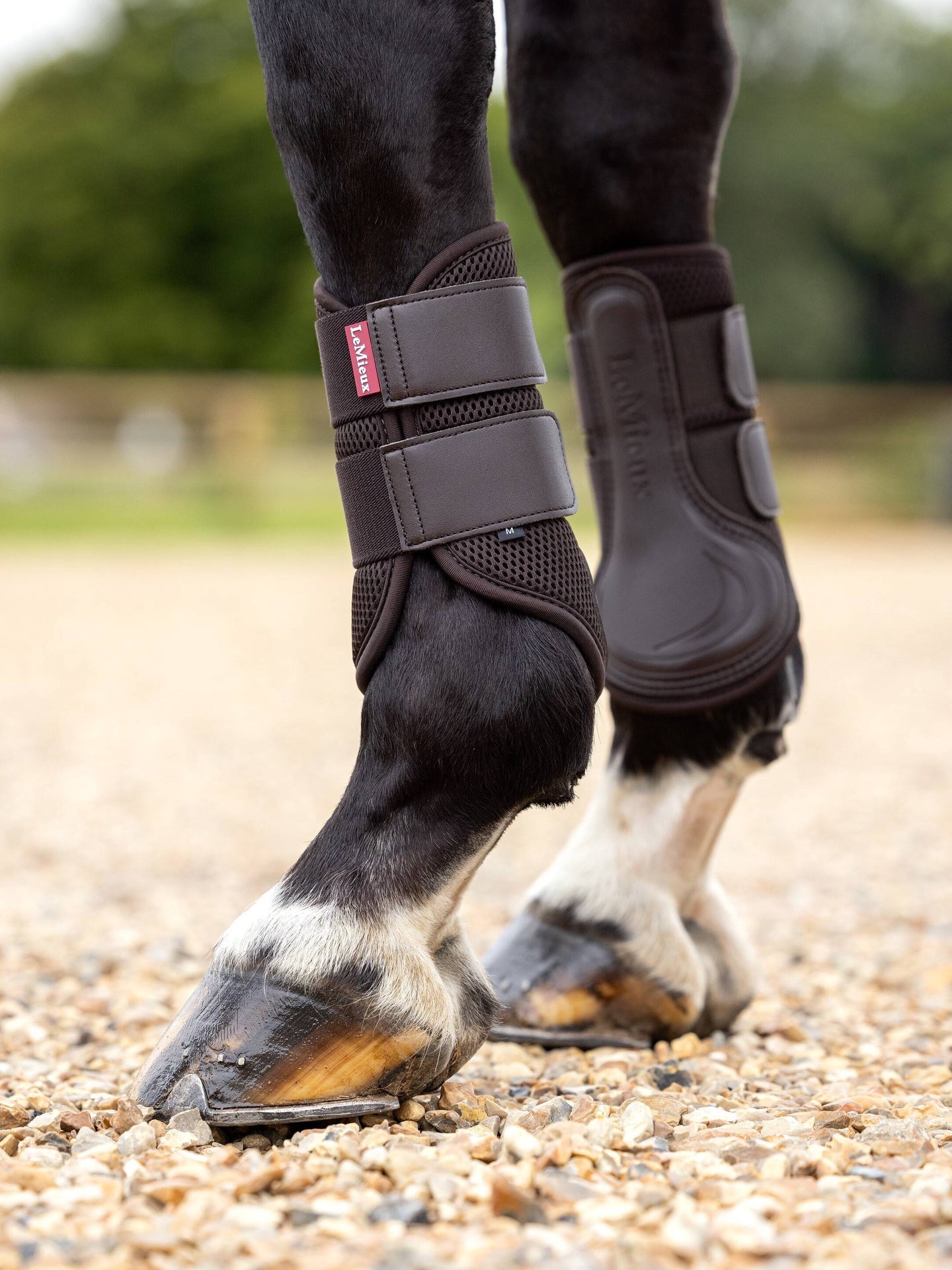 LeMieux Mesh Peesbeschermers Beenbeschermers - Maddelin Equestrian LeMieux