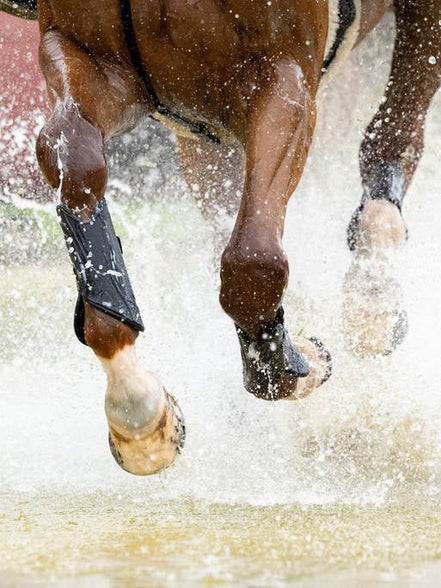 LeMieux MIMsafe XC Peesbeschermers Cross Beenbeschermers - Maddelin Equestrian LeMieux