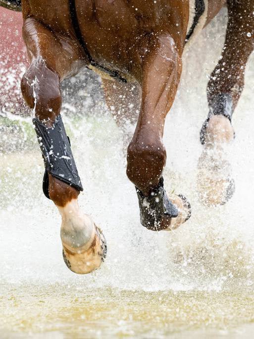 LeMieux MIMsafe XC Peesbeschermers Cross Beenbeschermers - Maddelin Equestrian LeMieux